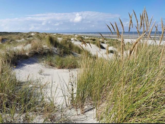 Seeblick Lachmoewe, Exklusive Lage In Strandnaehe Wangerooge Luaran gambar